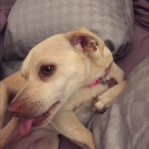 Meet your Posher, Jo